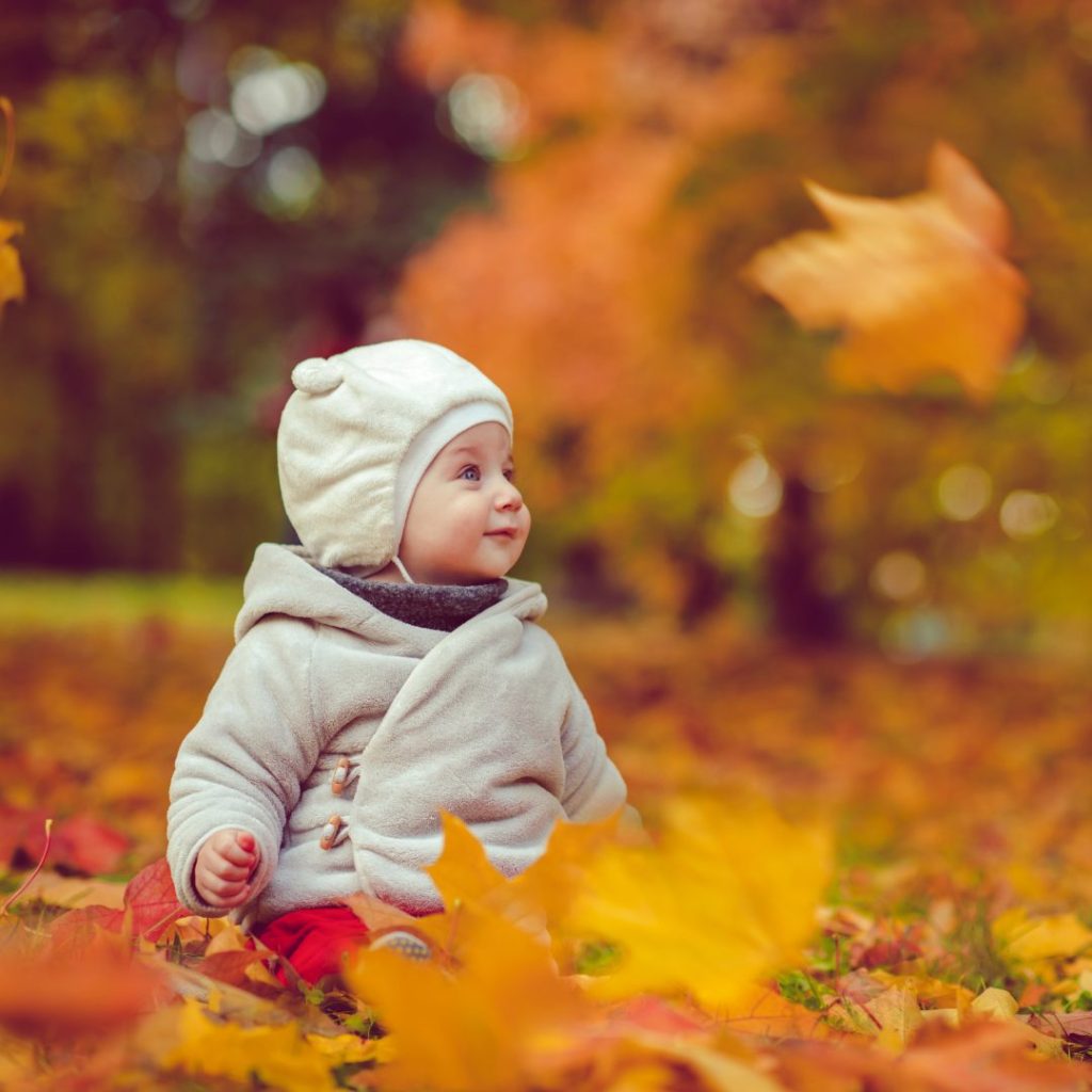 baby sitting in fall leaves
